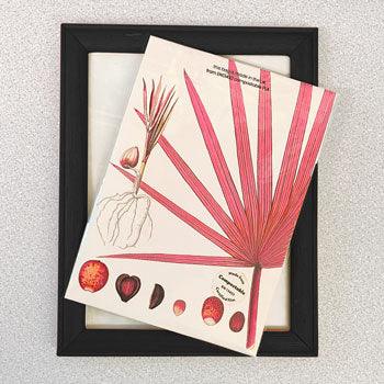 Bags for Artist & Photography Prints by eco-craft