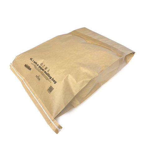 Durable Twin-Ply Kraft Mailing Sack - Large (600x330x100mm)