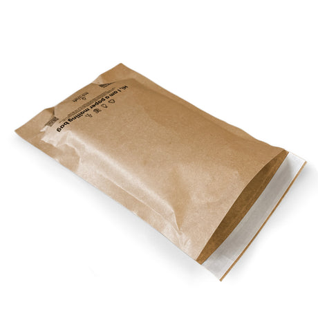 Paper Postal Mailer - 245x340x60mm (Large Letter)
