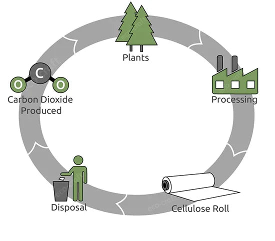 500mm x 25m Roll Clear Cellulose Film by eco-craft - made in the UK